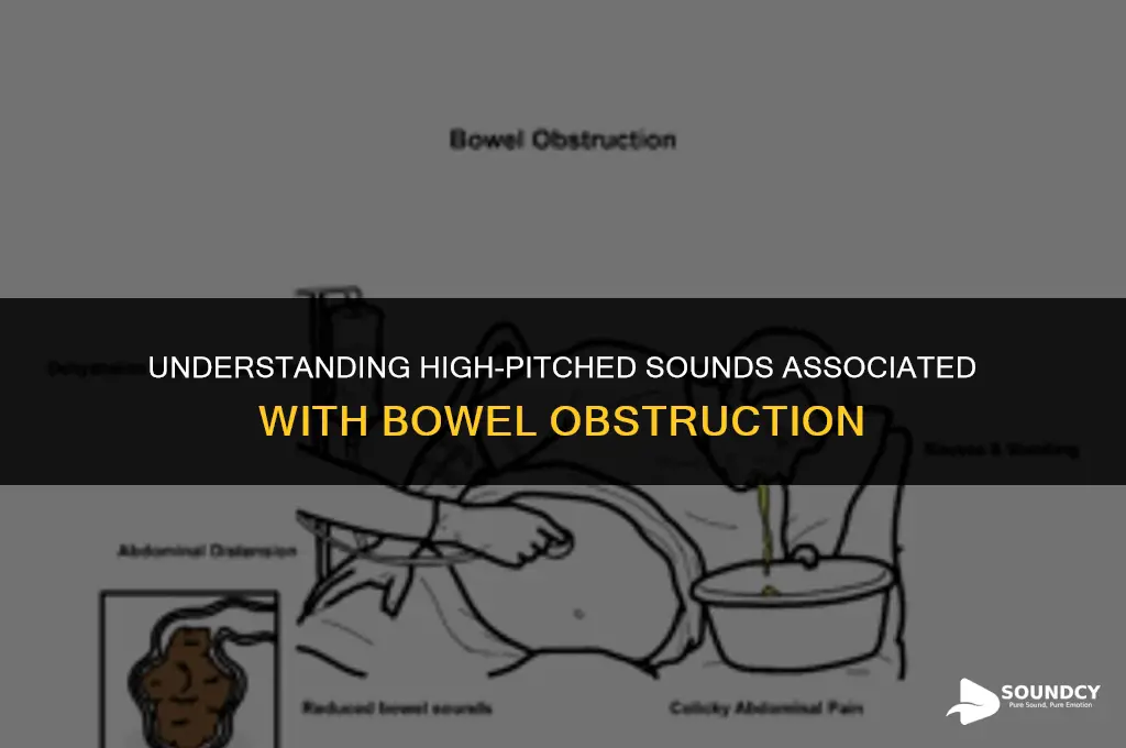 what are the high pitched sounds with bowel obstruction