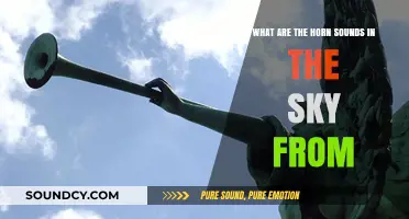 Unraveling the Mystery: What Are Those Horn Sounds in the Sky?