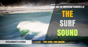 Riding the Sonic Waves: Elements of the Surf Sound