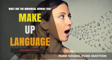 Decoding the Building Blocks of Language: A Journey Through Phonemes