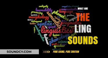 Exploring the Intricacies of Ling Sounds: A Comprehensive Linguistic Guide