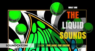 Exploring Liquid Sounds: Understanding Their Nature and Musical Applications