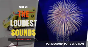 Exploring the World's Loudest Sounds: From Nature to Man-Made Noises