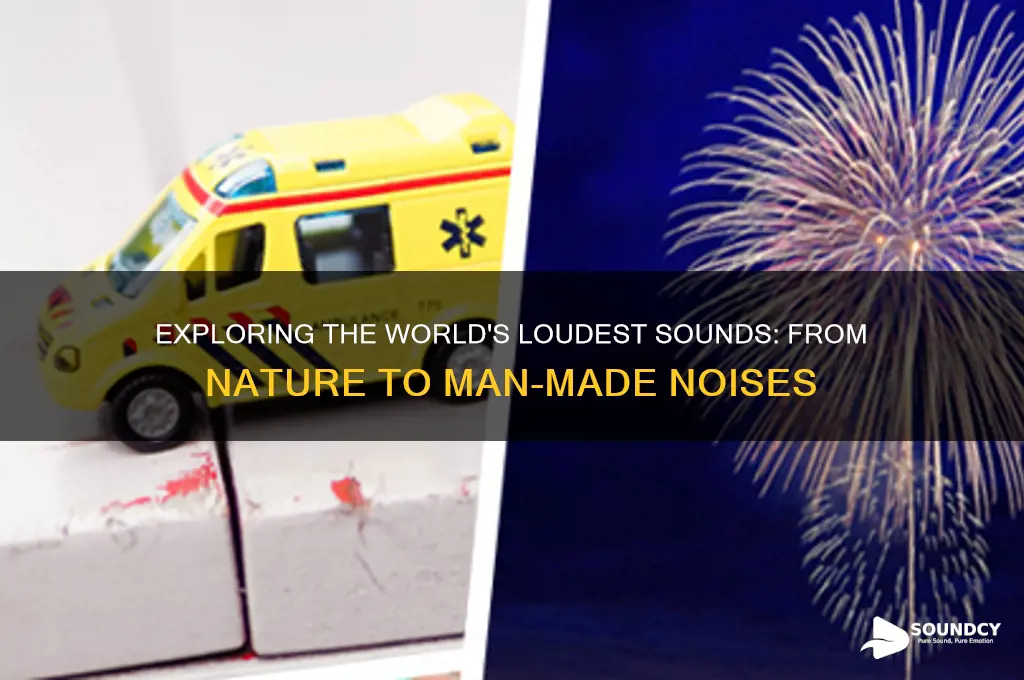 what are the loudest sounds