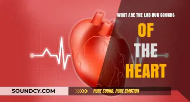 Understanding the Lub-Dub: The Rhythmic Language of Your Heart