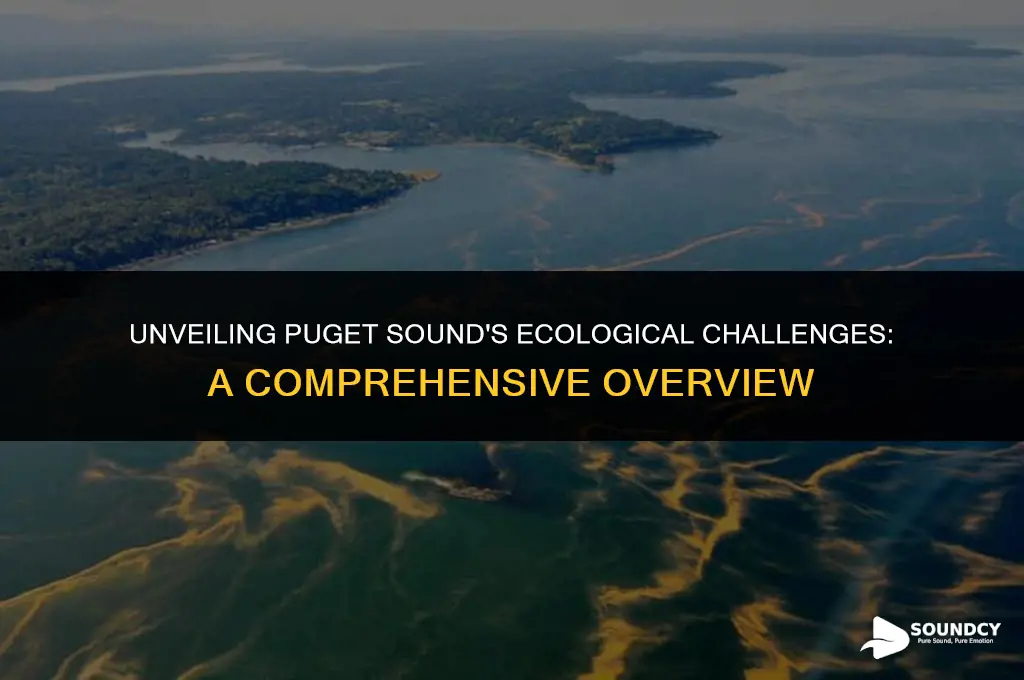 what are the major ecological problems at puget sound
