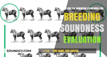 Ensuring Equine Excellence: Standards for Breeding Soundness Evaluations