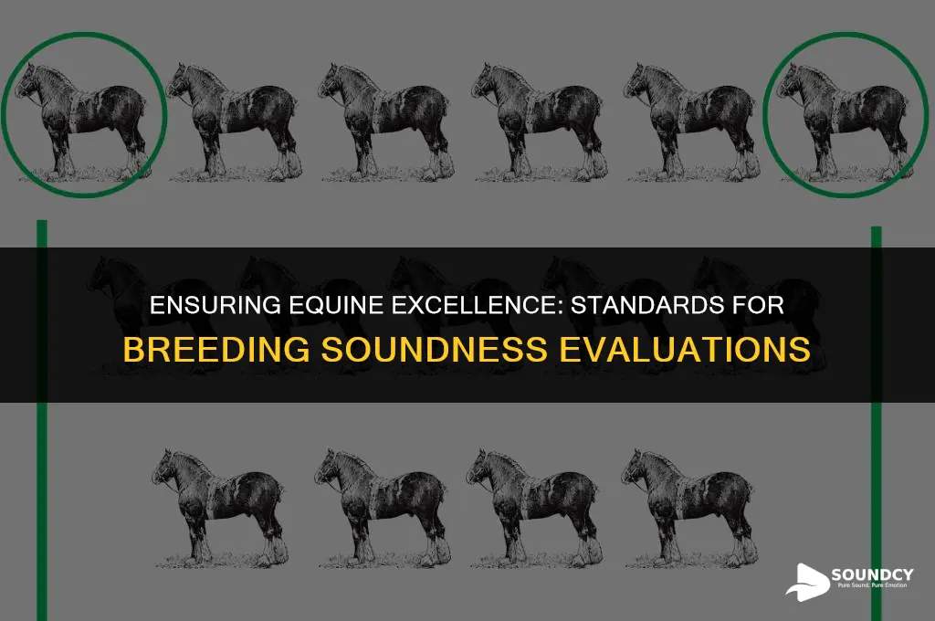 what are the minimum standards for breeding soundness evaluation