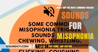 Exploring Misophonia: Everyday Sounds That Trigger Discomfort