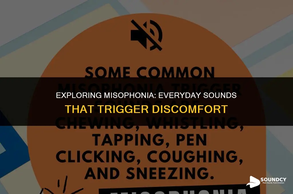 what are the most common trigger sounds for misophonia
