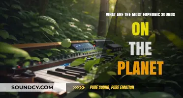Exploring the World's Most Melodious and Euphonic Sounds