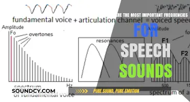 Unlocking Communication: Key Frequencies for Speech Sounds Revealed