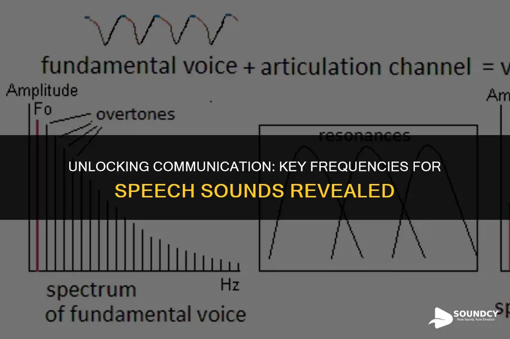 what are the most important frequencies for speech sounds