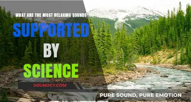 Nature's Symphony: Scientifically Proven Relaxing Sounds for Ultimate Calm
