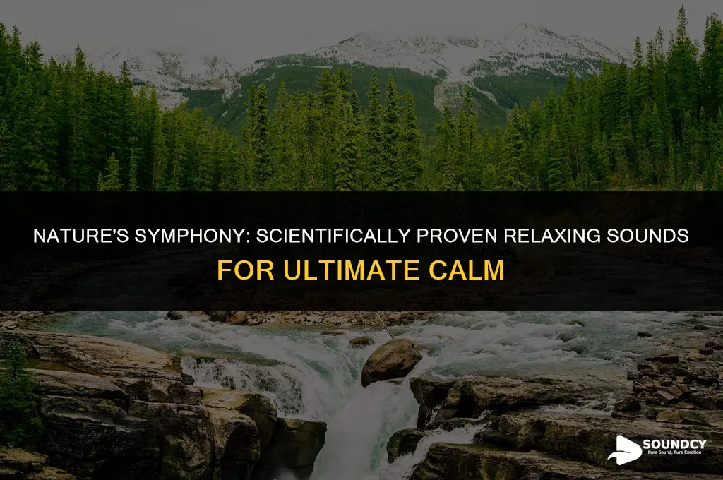 what are the most relaxing sounds supported by science