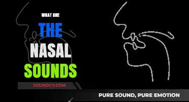 Understanding Nasal Sounds: A Comprehensive Guide to Phonetics and Speech