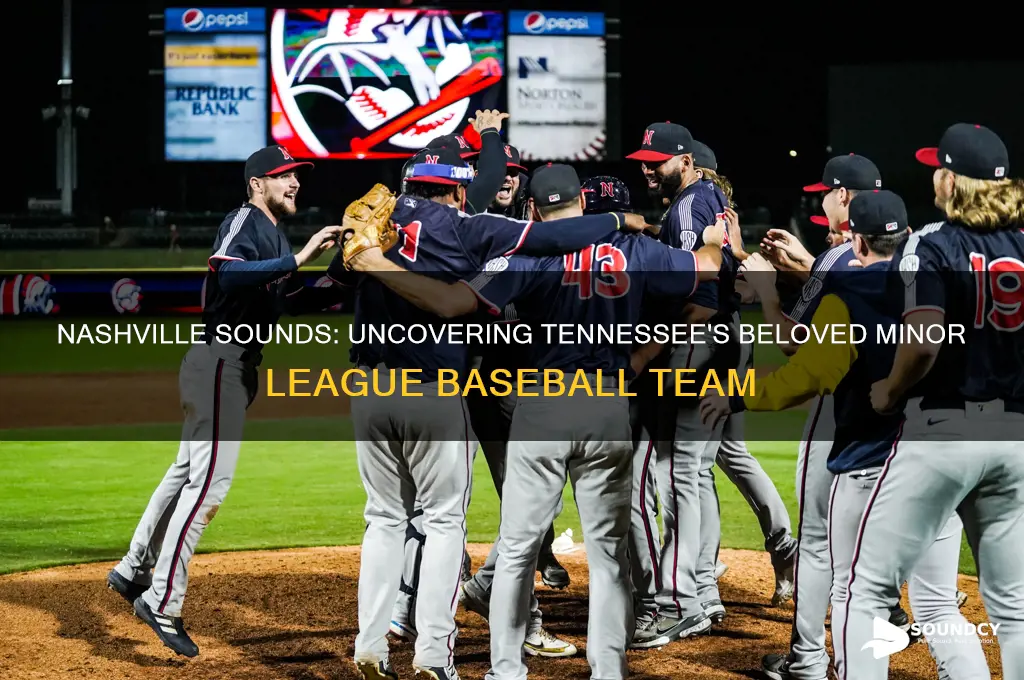 what are the nashville sounds