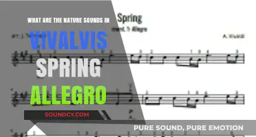Echoes of Spring: Unveiling Vivaldi's Nature Symphony in Allegro