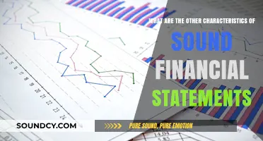 Exploring the Key Traits of Sound Financial Statements