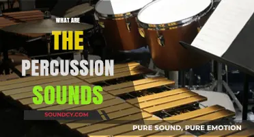 Understanding Percussion Sounds: Types, Techniques, and Musical Applications
