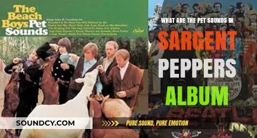Exploring the Pet Sounds Influence on Sgt. Pepper's Lonely Hearts Club Band