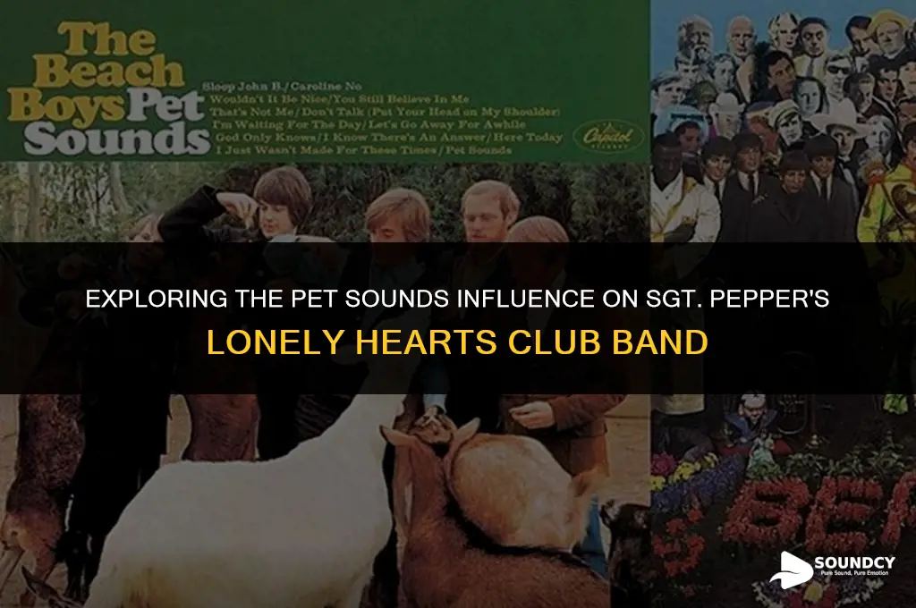 what are the pet sounds in sargent peppers album