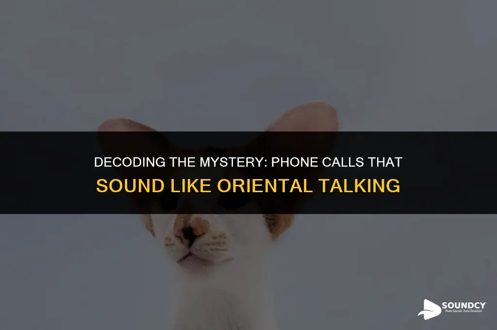 what are the phone calls that sound like orientaltalking