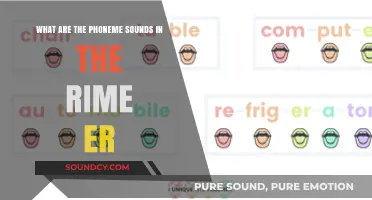 Exploring the Phoneme Sounds in the Rime "-er": A Linguistic Journey