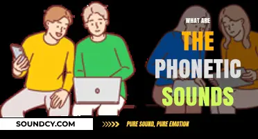 Exploring the Basics of Phonetic Sounds: A Comprehensive Guide