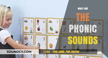 Mastering Phonics: Understanding the Essential Phonic Sounds for Reading Success