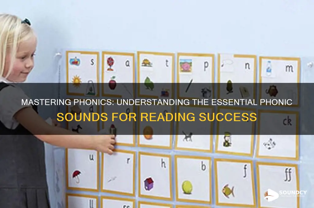 what are the phonic sounds