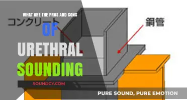 Exploring the Pros and Cons of Urethral Sounding: A Comprehensive Guide