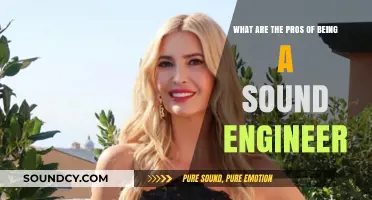 Exploring the Dynamic World of Sound Engineering: Pros and Passion