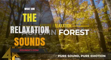 Discover the Soothing World of Relaxation Sounds for Peaceful Mind