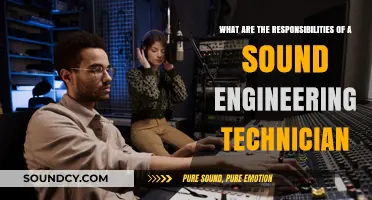 Behind the Scenes: The Crucial Role of Sound Engineering Technicians