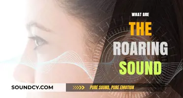 Unraveling the Mystery: What Causes the Roaring Sound?