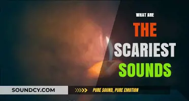 Eerie Echoes: Uncovering the Most Terrifying Sounds Known to Humanity
