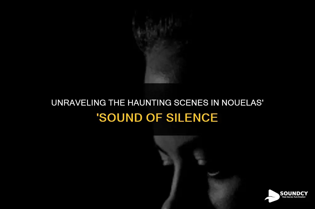 what are the scenes in nouelas sound of silence