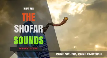 Understanding the Sacred Shofar Sounds: Meanings, Traditions, and Significance