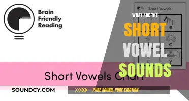 Short Vowels: The Building Blocks of Speech