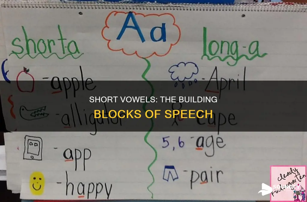 what are the short vowel sounds