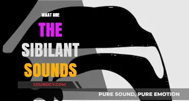 Understanding Sibilant Sounds: Definition, Examples, and Role in Phonetics