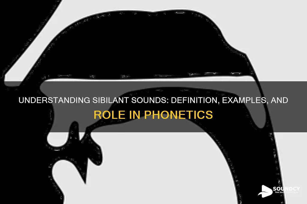 what are the sibilant sounds