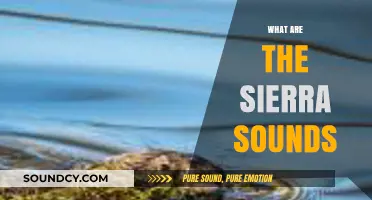 Unraveling the Mystery: Understanding the Sierra Sounds Phenomenon