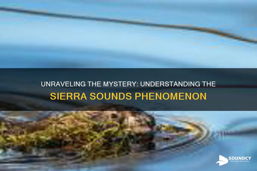 what are the sierra sounds