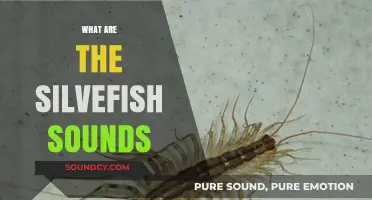Unveiling the Mysterious Sounds of Silverfish: What Do They Mean?