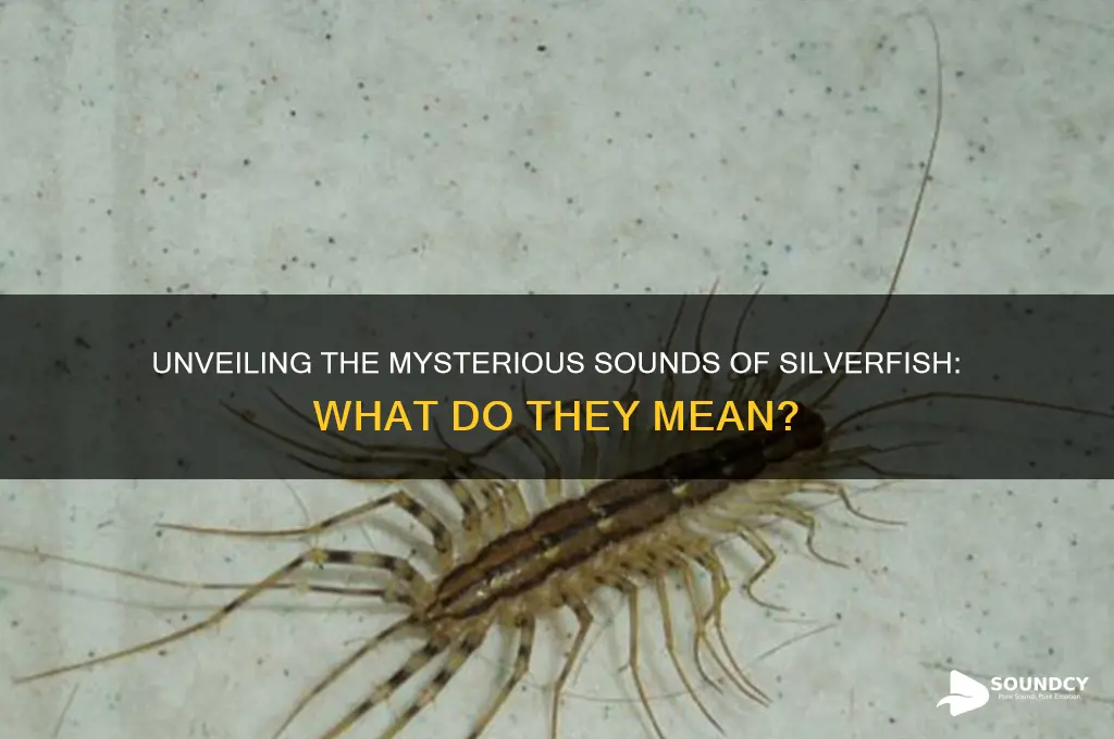what are the silvefish sounds