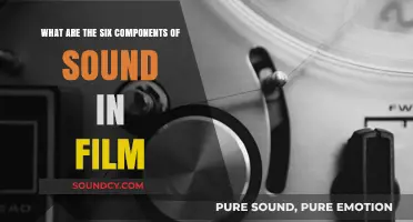 Exploring the Sonic Elements: A Guide to Film Sound Components
