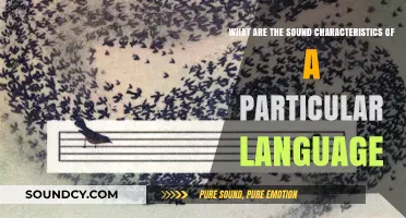Exploring the Sonic Landscape: Unique Sound Characteristics of [Language]