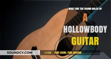 Exploring the Sonic Secrets: Anatomy of Hollowbody Guitar Soundholes